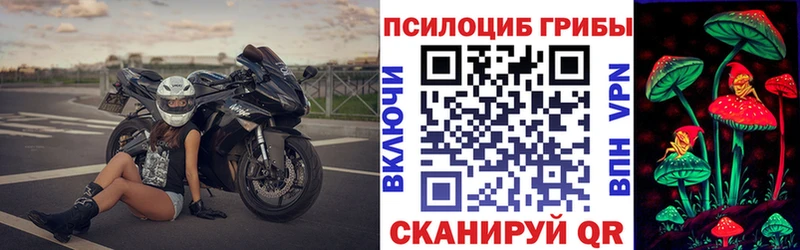 Галлюциногенные грибы Psilocybe  закладка  Чита 